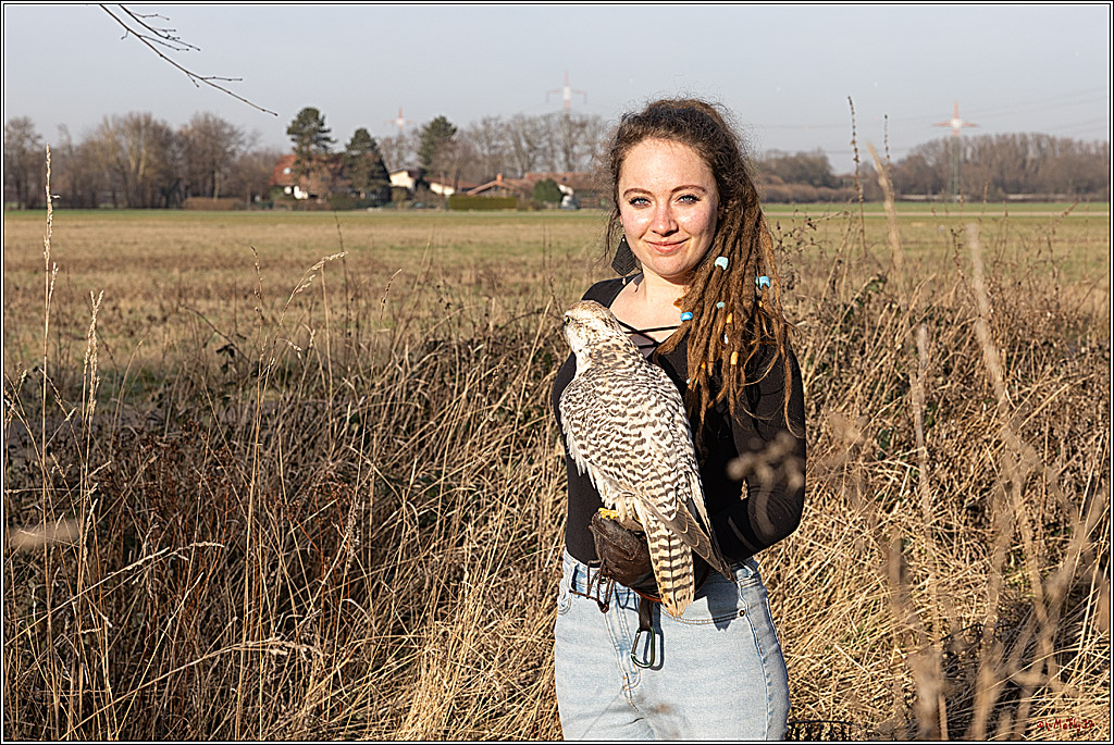 Cheyenne-Halbblut Hunting Wolf in der Falknerei Pierre Schmidt; Gymnich, 09.02.2023